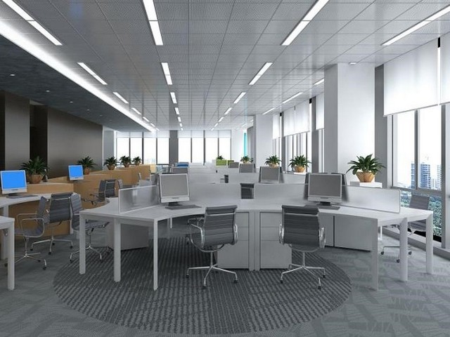 江西中华白玉露天蜗牛养殖合作回收